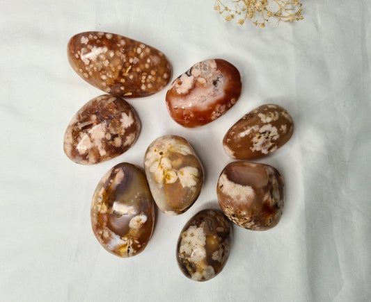 Carnelian and Flower Agate Palm Stone