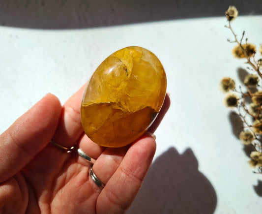 Golden Healer Palm Stone 02